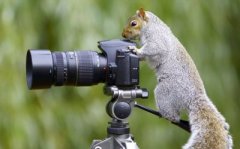 活动现场请专业摄像师拍摄要多少钱一天？